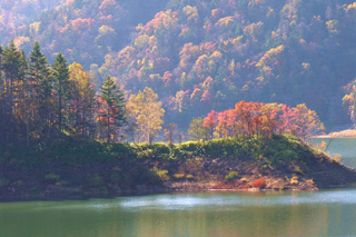 北海道中部:定山溪丰平峡大坝的红叶