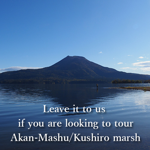 Leave it to us if you are looking to tour Akan-Mashu/Kushiro marsh