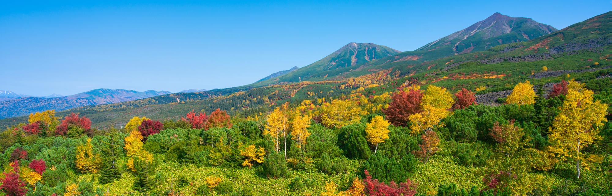 Autumn Leaf Spots in Hokkaido