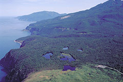 Shiretoko Peninsula World Heritage Site