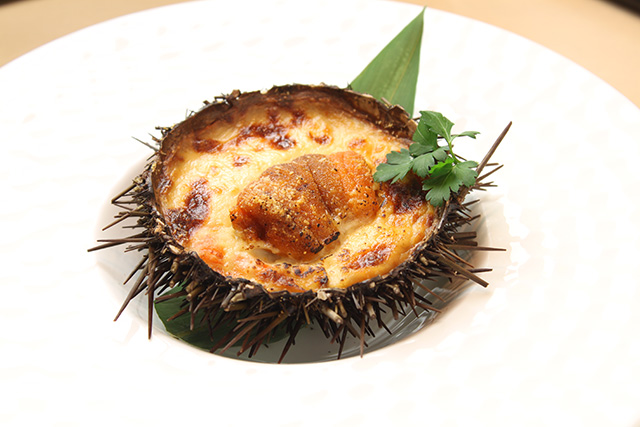 Sea urchin gratin