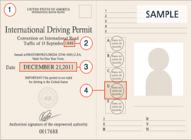 Sample International Driving Permit