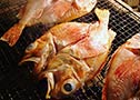 Kichiji rockfish