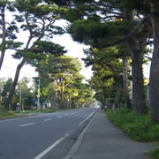 Akamatsu Highway