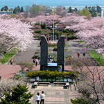 Mori tourism information