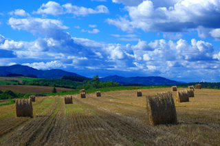 Autumn In Hokkaido Uu Hokkaido