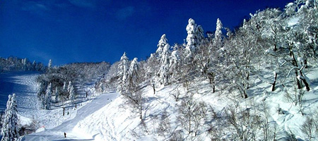 Furano Ski Resort