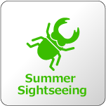 Summer Sightseeing