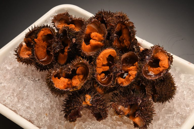 Sea urchin（in the shell）