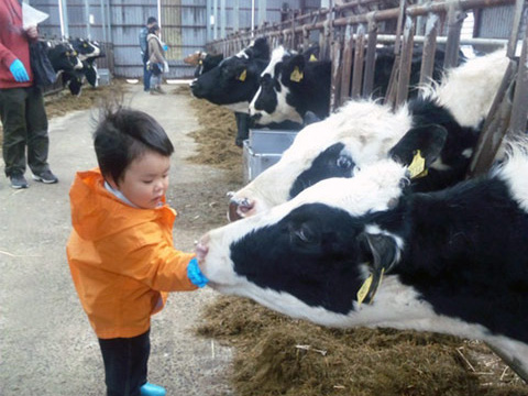 Feeding